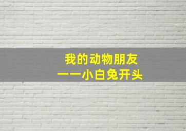 我的动物朋友一一小白兔开头