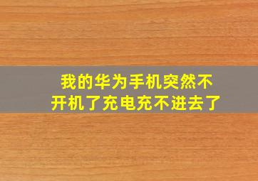 我的华为手机突然不开机了充电充不进去了