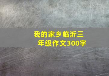 我的家乡临沂三年级作文300字