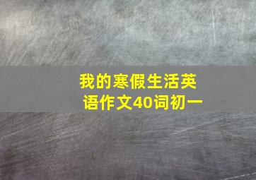 我的寒假生活英语作文40词初一