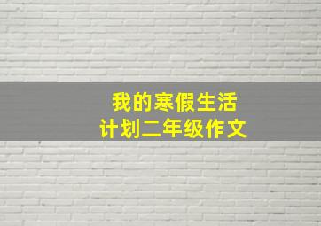 我的寒假生活计划二年级作文