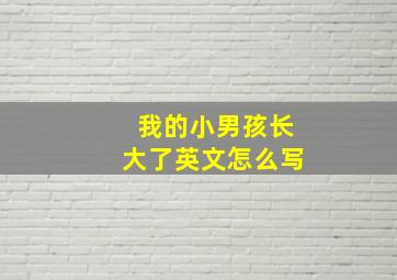 我的小男孩长大了英文怎么写