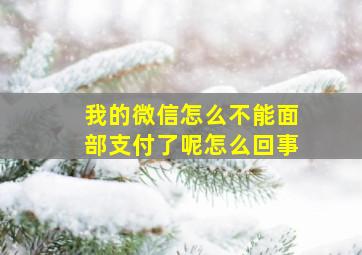 我的微信怎么不能面部支付了呢怎么回事