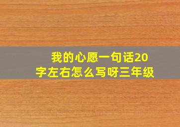 我的心愿一句话20字左右怎么写呀三年级