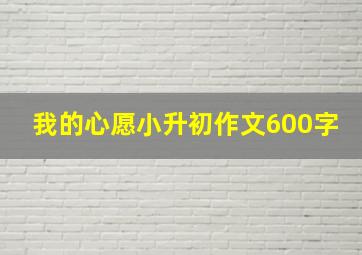 我的心愿小升初作文600字