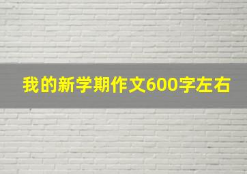 我的新学期作文600字左右