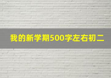 我的新学期500字左右初二