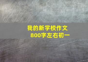 我的新学校作文800字左右初一