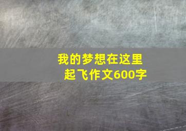 我的梦想在这里起飞作文600字