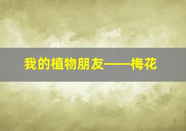 我的植物朋友――梅花