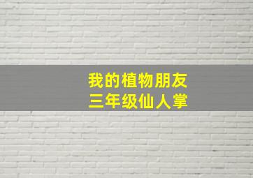 我的植物朋友 三年级仙人掌