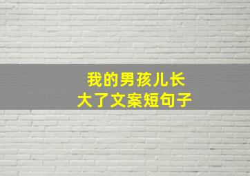 我的男孩儿长大了文案短句子