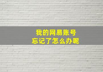 我的网易账号忘记了怎么办呢