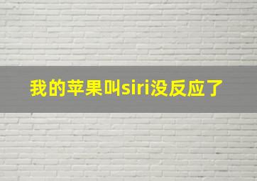 我的苹果叫siri没反应了