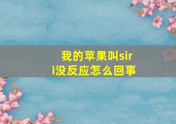 我的苹果叫siri没反应怎么回事