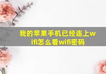 我的苹果手机已经连上wifi怎么看wifi密码