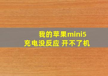 我的苹果mini5充电没反应 开不了机