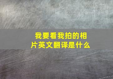 我要看我拍的相片英文翻译是什么