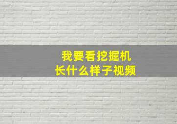 我要看挖掘机长什么样子视频