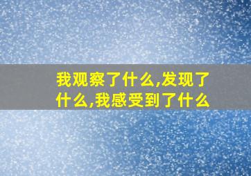 我观察了什么,发现了什么,我感受到了什么