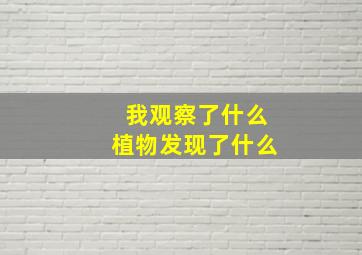 我观察了什么植物发现了什么