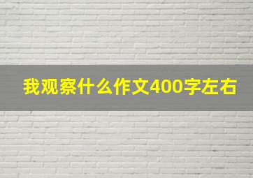 我观察什么作文400字左右