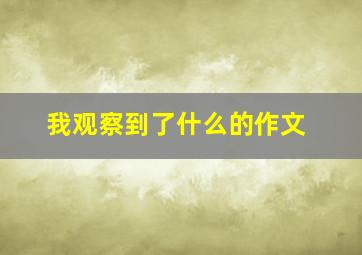 我观察到了什么的作文