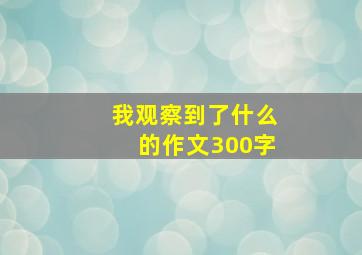 我观察到了什么的作文300字