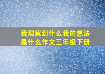 我观察到什么我的想法是什么作文三年级下册