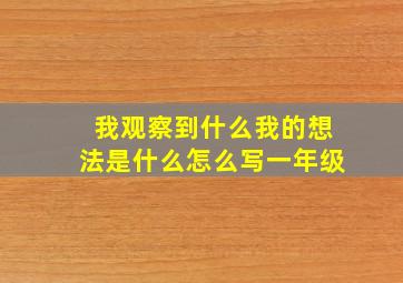 我观察到什么我的想法是什么怎么写一年级