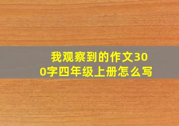 我观察到的作文300字四年级上册怎么写