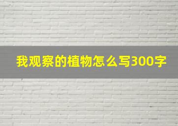 我观察的植物怎么写300字