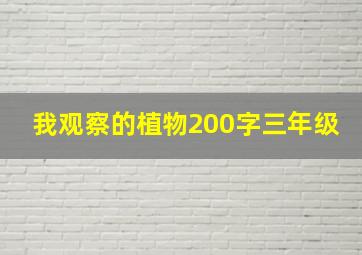 我观察的植物200字三年级