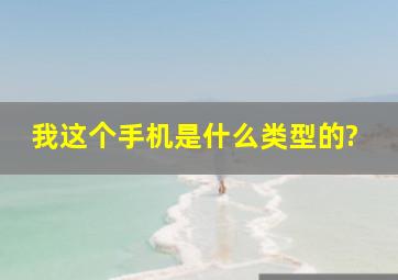 我这个手机是什么类型的?