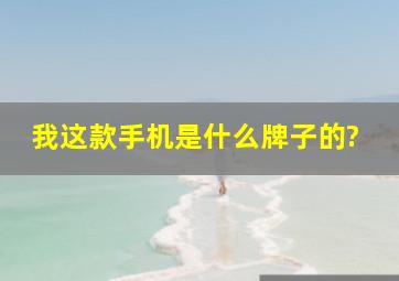 我这款手机是什么牌子的?