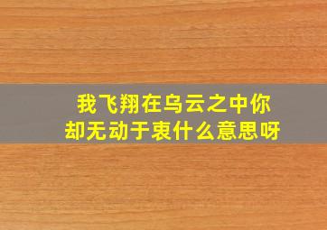 我飞翔在乌云之中你却无动于衷什么意思呀