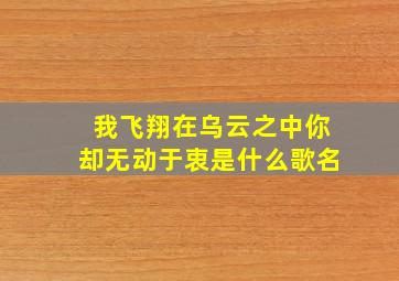 我飞翔在乌云之中你却无动于衷是什么歌名