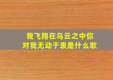 我飞翔在乌云之中你对我无动于衷是什么歌