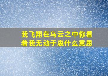 我飞翔在乌云之中你看着我无动于衷什么意思