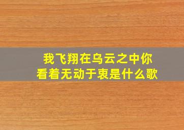 我飞翔在乌云之中你看着无动于衷是什么歌