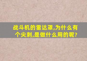 战斗机的雷达罩,为什么有个尖刺,是做什么用的呢?