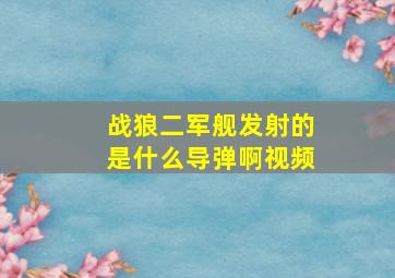 战狼二军舰发射的是什么导弹啊视频