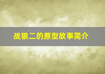 战狼二的原型故事简介