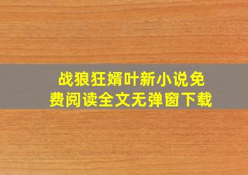 战狼狂婿叶新小说免费阅读全文无弹窗下载