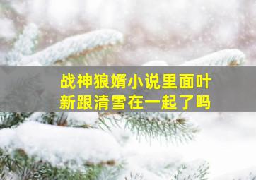 战神狼婿小说里面叶新跟清雪在一起了吗