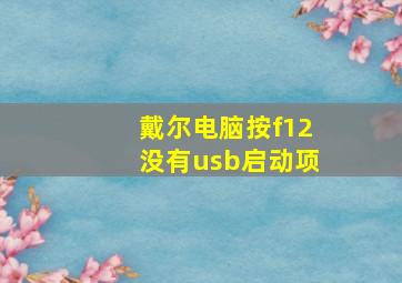 戴尔电脑按f12没有usb启动项