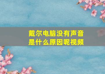 戴尔电脑没有声音是什么原因呢视频