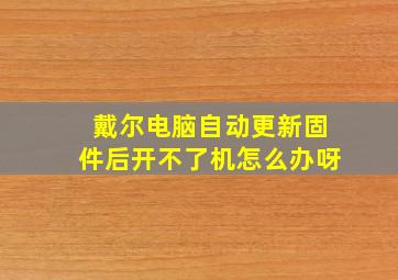 戴尔电脑自动更新固件后开不了机怎么办呀