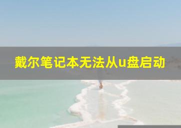 戴尔笔记本无法从u盘启动