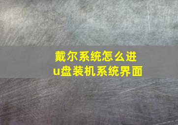 戴尔系统怎么进u盘装机系统界面